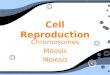Cell Reproduction Chromosomes Mitosis Meiosis Chromosomes Mitosis Meiosis