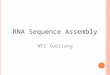 RNA Sequence Assembly WEI Xueliang. Overview Sequence Assembly Current Method My Method RNA Assembly To Do