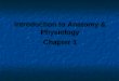 Introduction to Anatomy & Physiology Chapter 1 Introduction to Anatomy & Physiology Chapter 1