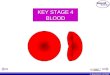 © Boardworks Ltd 2003 KEY STAGE 4 BLOOD. © Boardworks Ltd 2003 A slide contains teacher’s notes wherever this icon is displayed - To access these notes