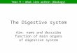 Year 9 – What lies within (Biology) The Digestive system Aim: name and describe function of main organs of digestive system