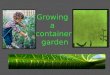 Growing a container garden. Navigation To navigate this presentation, you can click on the user interface icons below. Click on this image to get back
