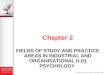 FIELDS OF STUDY AND PRACTICE AREAS IN INDUSTRIAL AND ORGANISATIONAL (I-O) PSYCHOLOGY Chapter 2