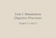 Unit I: Metabolism Digestive Processes Chapter 21 and 22