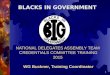 1 NATIONAL DELEGATES ASSEMBLY TEAM CREDENTIALS COMMITTEE TRAINING 2015 WG Buckner, Training Coordinator BLACKS IN GOVERNMENT