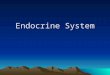 Endocrine System. Introduction The nervous system and the endocrine system coordinate functions of all body systems