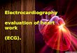 Electrocardiography evaluation of heart work (ECG)