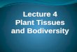 Lecture 4 Plant Tissues and Bodiversity. Plant organs: A plant has two organ systems: 1) the shoot system, 2) the root system. The shoot system is above