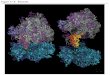 Figure 17.0 Ribosome. DNA and protein DNA codes for your traits So you are different from other people because your DNA is different DNA works by creating