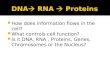 How does information flows in the cell?  What controls cell function?  Is it DNA, RNA, Proteins, Genes, Chromosomes or the Nucleus?
