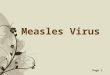 Free Powerpoint TemplatesPage 1 Measles Virus. Free Powerpoint TemplatesPage 2 Symptoms Measles prodrome Prior to the appearance of the rash, Measles