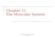 Copyright 2009, John Wiley & Sons, Inc. Chapter 11 The Muscular System