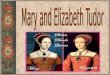 Henry VIII’s CHildren 1510 Daughter - died 1511 Son - died 1513 Son - died 1514 Son - died 1516 Mary - survived 1518 Daughter - died 1533 Elizabeth -
