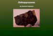 Orthopyroxene By Dominic Papineau. The varieties of orthopyroxene Enstatite Clinoenstatite Bronzite Hyperstene Ferrohyperstene Eulite Orthoferrosilite