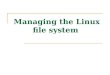 Managing the Linux file system. 1. Describe the Linux file system 2. Complete common file system tasks 3. Manage disk partitions 4. Use removable media