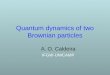 Quantum dynamics of two Brownian particles A. O. Caldeira IFGW-UNICAMP