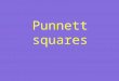 Punnett squares. The tool which uses the combination of alleles to predict the probability of traits showing up in offspring