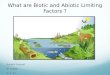 What are Biotic and Abiotic Limiting Factors ? Nermin Youssef 9 th grade 5- 1- 12
