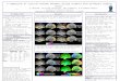 A comparison of cortical anatomy between college students with different reading skills Suzanne E. Welcome 1, Christine Chiarello 1, Paul Thompson 2, &