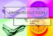 HARM REDUCTION HARM REDUCTION کاهش آسیب HARM REDUCTION کاهش آسیب By : Dr Seddigh HUMS
