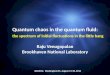 Quantum chaos in the quantum fluid: the spectrum of initial fluctuations in the little bang Raju Venugopalan Brookhaven National Laboratory QM2012, Washington