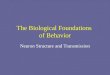 The Biological Foundations of Behavior Neuron Structure and Transmission