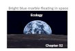 Bright blue marble floating in space Ecology Chapter 52
