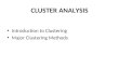CLUSTER ANALYSIS Introduction to Clustering Major Clustering Methods