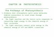 CHAPTER 10 PHOTOSYNTHESIS The Pathways of Photosynthesis 1.Evidence that chloroplasts split water molecules enabled researchers to track atoms through