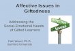 Affective Issues in Giftedness Addressing the Social-Emotional Needs of Gifted Learners Patti Wood, Ph.D. Samford University AFFECTIVE Issues