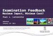 Examination Feedback Maximum Impact, Minimum Cost? Paul L. Latreille Seminar January 24 th 2011