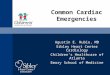 Common Cardiac Emergencies Agustin E. Rubio, MD Sibley Heart Center Cardiology Children’s Healthcare of Atlanta Emory School of Medicine