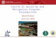 CesrTA EC Build-Up and Mitigation Program - Introduction Mark Palmer June 25, 2009