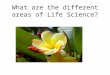 What are the different areas of Life Science?. Life Science = Biology
