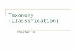 Taxonomy (Classification) Chapter 18. Taxonomy – the branch of biology that groups and names organisms based on studies of their different characteristics