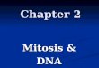 Chapter 2 Mitosis & Mitosis & DNA Replication. Mitosis Mitosis is a 5 step process of Cell Division Mitosis is a 5 step process of Cell Division IPMAT