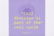 “Cell division is part of the cell cycle” Section 3.2 & 3.3