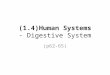(1.4)Human Systems - Digestive System (p62-65). Recall – 11 Human Systems