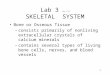 1 Lab 3 rev 7-11 SKELETAL SYSTEM Bone or Osseous Tissue –consists primarily of nonliving extracellular crystals of calcium minerals –contains several types