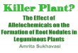 Does alfalfa- leaf extract, an allelochemical, affect the formation of root nodules of leguminous plants?