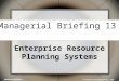 © The McGraw-Hill Companies, Inc., 2006 1 McGraw-Hill/Irwin Managerial Briefing 13 Enterprise Resource Planning Systems