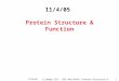 11/04/05 D Dobbs ISU - BCB 444/544X: Protein Structure & Function1 11/4/05 Protein Structure & Function