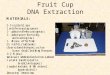 Fruit Cup DNA Extraction. Step 1 Into one of the 5 oz cups add 1 teaspoon of shampoo. Fruit Cup DNA Extraction
