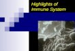Highlights of Immune System. Topic Outline Overview of the Immune System 1 st and 2 nd lines of Defense The Immune System  B cells  The antibody & antibody