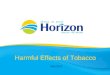 Harmful Effects of Tobacco May 2014. Health Info Prepared by Public Health Vitalité Health Network November 2013