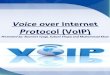 Voice Over Internet Protocol (VOIP)  Traditional Telephone System VS VOIP  How (VOIP) Works  VOIP Growing Statistics  VOIP Advantages for Households