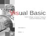 Visual Basic CDA College Limassol Campus Lecture:Pelekanou Olga Semester C Week - 1