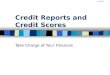 1.4.2.G1 Credit Reports and Credit Scores Take Charge of Your Finances