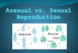 1. 2 Asexual Reproduction Sexual Reproduction Both Types of reproduction in living organisms Pass DNA from parent to offspring
