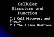 Cellular Structure and Function 7.1 Cell Discovery and Theory 7.2 The Plasma Membrane